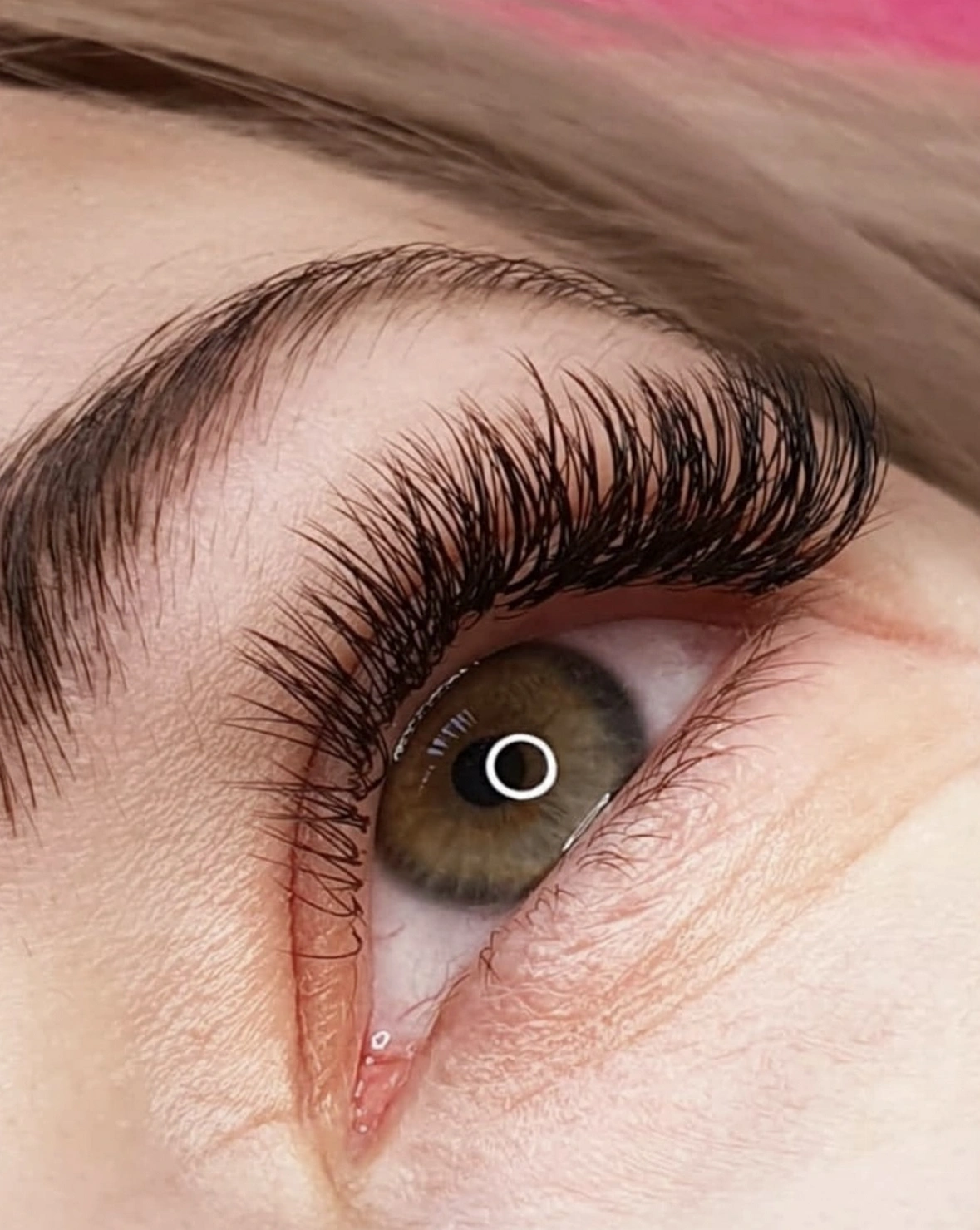 005.PNG
